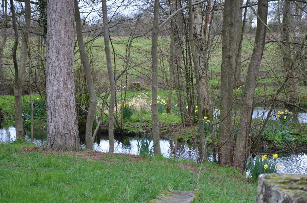 Le Moulin De Charin Bed & Breakfast La Pommeraie-sur-Sèvre Dış mekan fotoğraf
